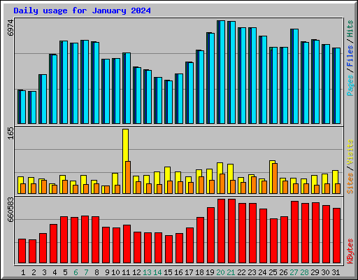 Daily usage for January 2024