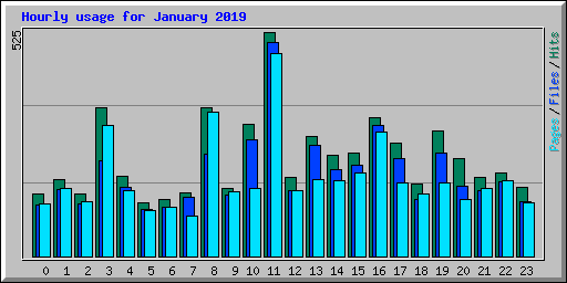 Hourly usage for January 2019
