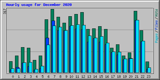 Hourly usage for December 2020