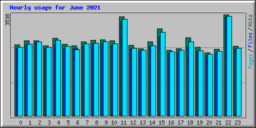 Hourly usage for June 2021