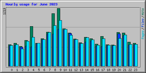 Hourly usage for June 2023
