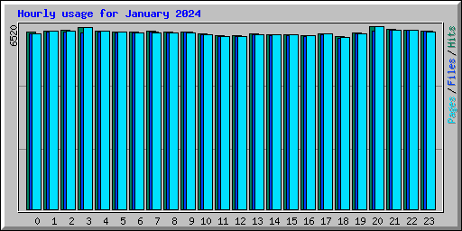 Hourly usage for January 2024