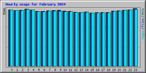 Hourly usage for February 2024