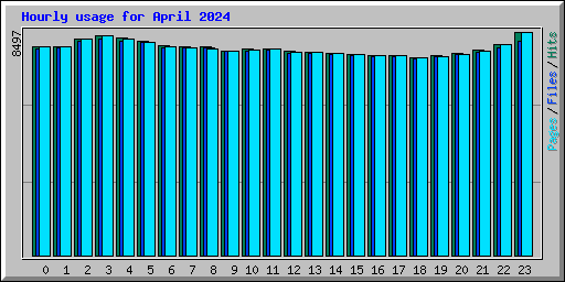 Hourly usage for April 2024