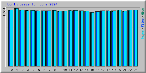 Hourly usage for June 2024
