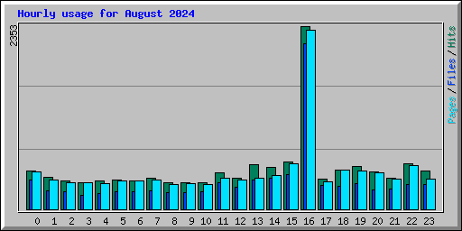 Hourly usage for August 2024